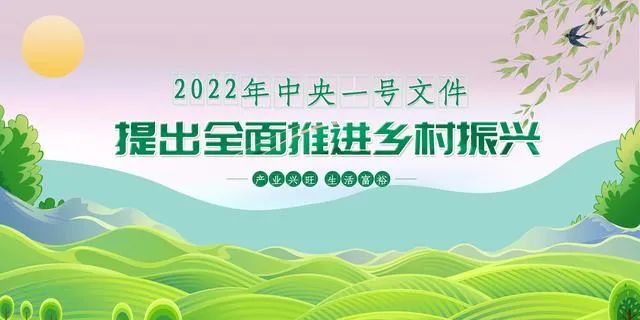 �������������MS - ��ʨ������������Ӱ�����(ͼ3)