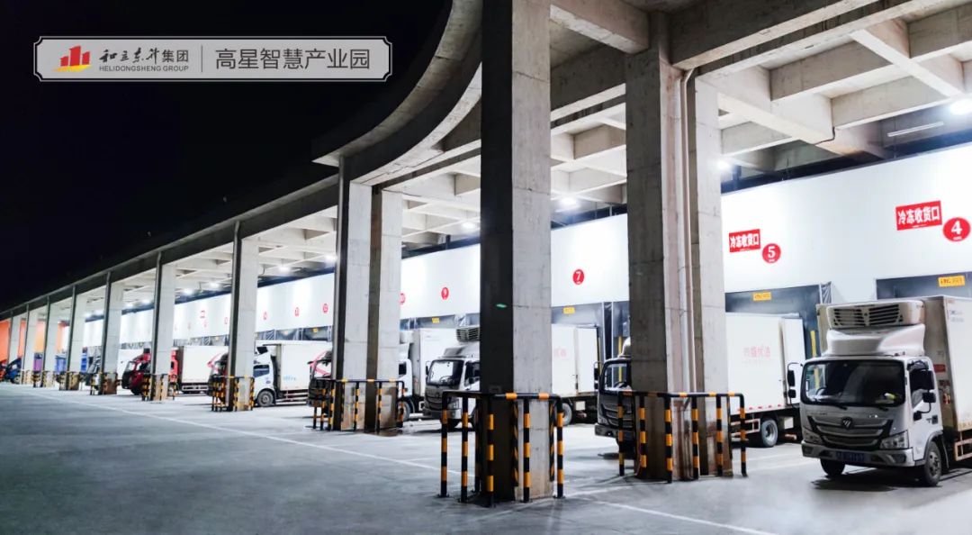 �������������MS - ��ʨ������������Ӱ�����(ͼ5)