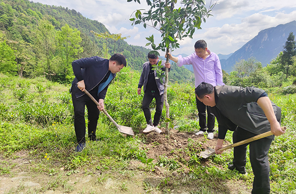 MS - ÃÀʨ¹ó±ö»áµ³Î¯·¢Õ¹¡°ÕýµÂÉÆÐÐ ÖúÁ¦ÍÑÆ¶¡± °®ÐĹ«Òæ»î¶¯(ͼ5) MS - ÃÀʨ¹ó±ö»áµ³Î¯·¢Õ¹¡°ÕýµÂÉÆÐÐ ÖúÁ¦ÍÑÆ¶¡± °®ÐĹ«Òæ»î¶¯(ͼ5)