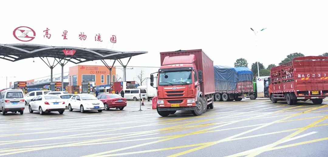 ��ר�����¡�ʾ��԰����MS - ��ʨ�������ô�ɣ�(ͼ5)