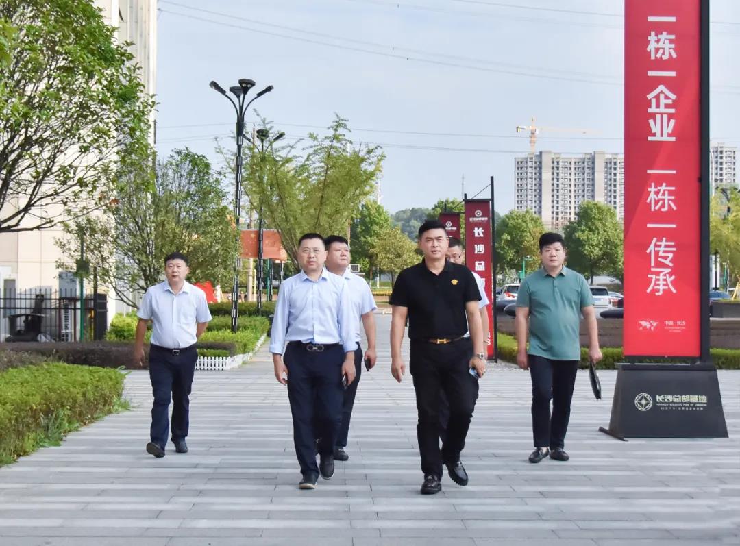 ��ɳ���蹫˾��������MS - ��ʨ�������黥��(ͼ1)