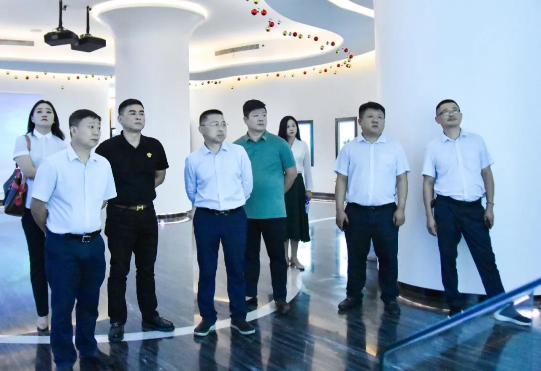 ��ɳ���蹫˾��������MS - ��ʨ�������黥��(ͼ3)