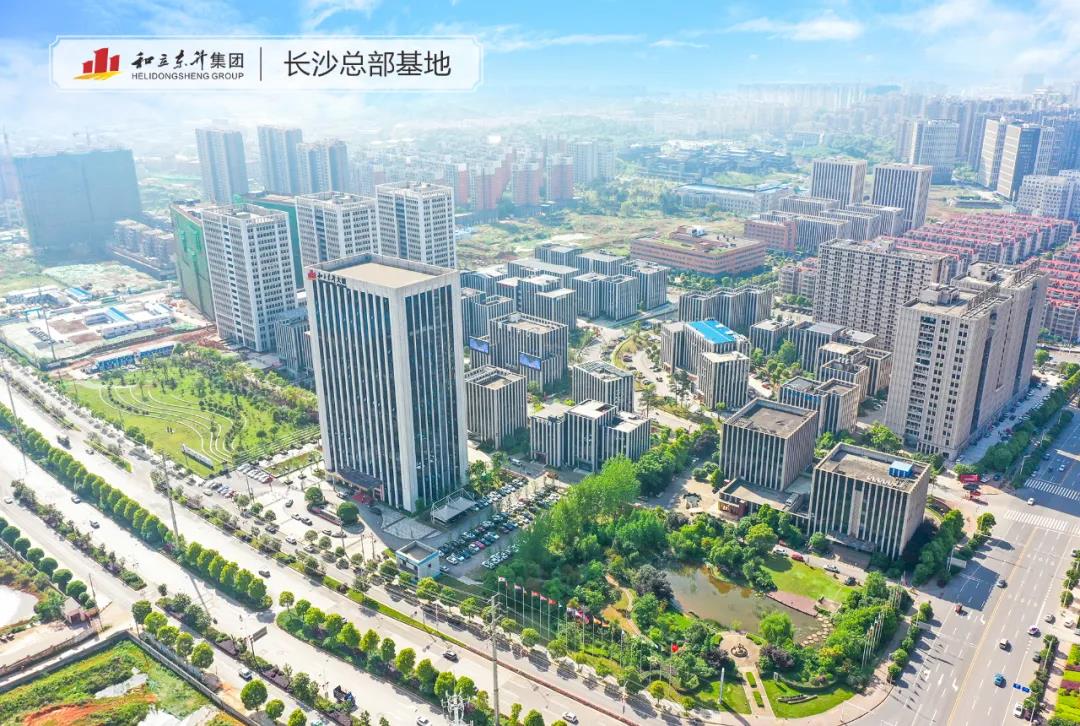 �������������MS - ��ʨ���������������(ͼ6)